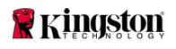 Logo Kingston
